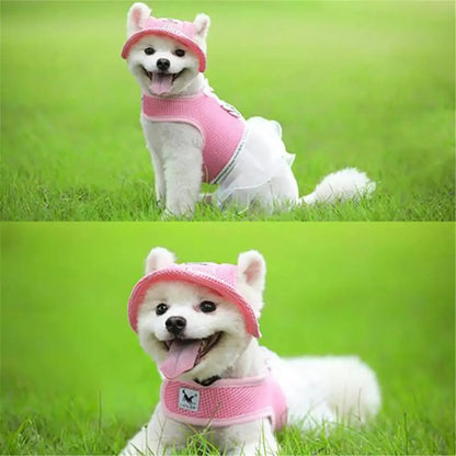 Mesh dog baseball cap with ear holes in solid pink