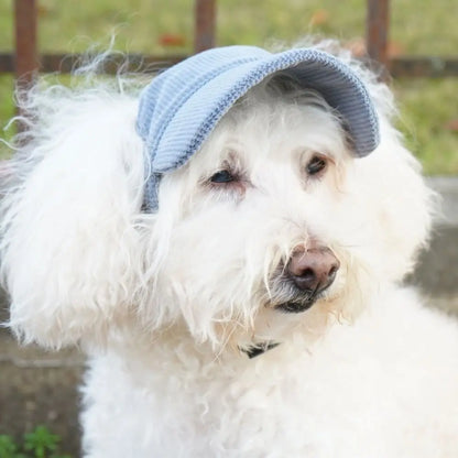 Corduroy dog cap in pink, green, khaki and blue