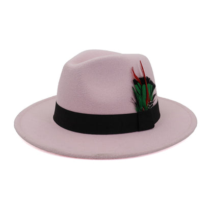 Men's And Women's New Woolen Broad-brimmed Hat Classic Top Fashion Feather Hat - Urban Caps 