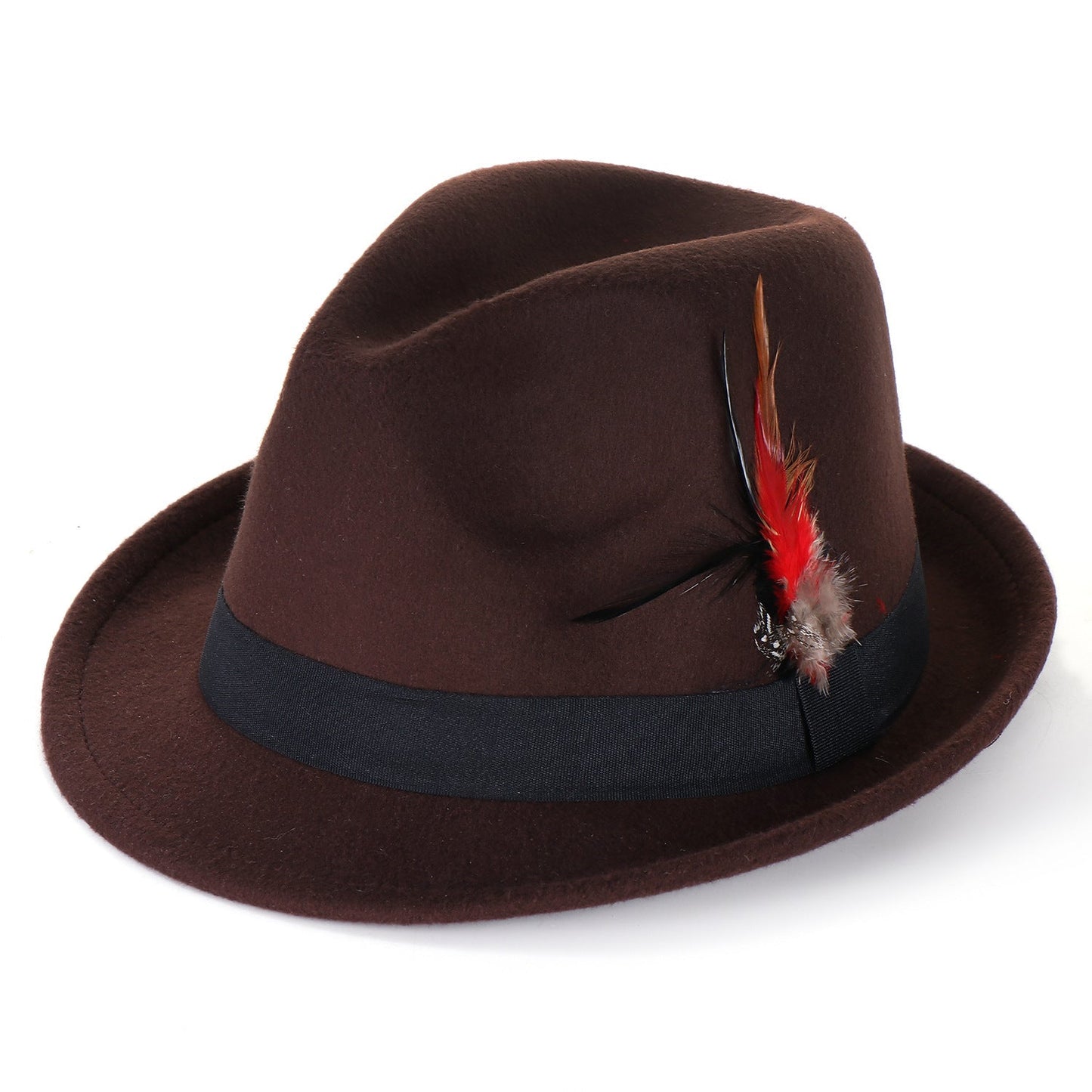Fashion Men's And Women's Woolen Feather Hat - Urban Caps